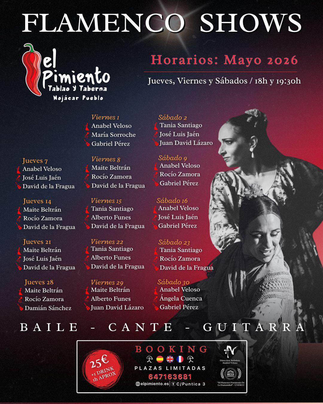 Espectáculos de flamenco 